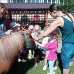 phoca_thumb_m_ponk 127 Fotogalerie